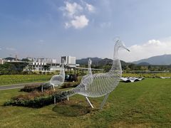 -光明小镇欢乐田园