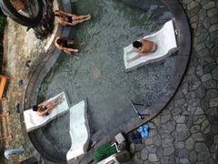 -盛泰恐龙谷温泉