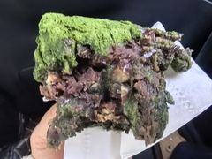 -老回回小吃(百万庄店)