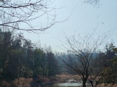 -青龙山国家森林公园