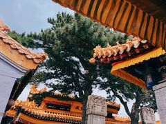 -五台山风景区