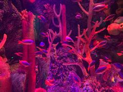 -沈阳海洋探索中心