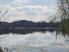 -白鹭湾湿地公园