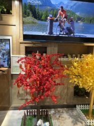 -東方名剪·ETSTYLE