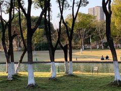 -院士公园
