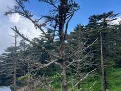 -峨眉山风景名胜区