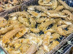 -小满海鲜·别院(天津旗舰店)