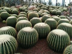 -南通洲际绿博园