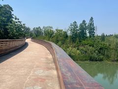 -昆山城市生态森林公园