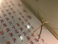 -上海昆虫博物馆