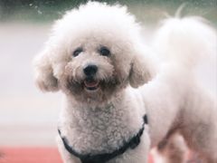 -DailyDoseCoffee (西乡店)