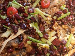 -老板恋上鱼(恒隆广场店)