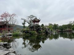 -顺峰山公园