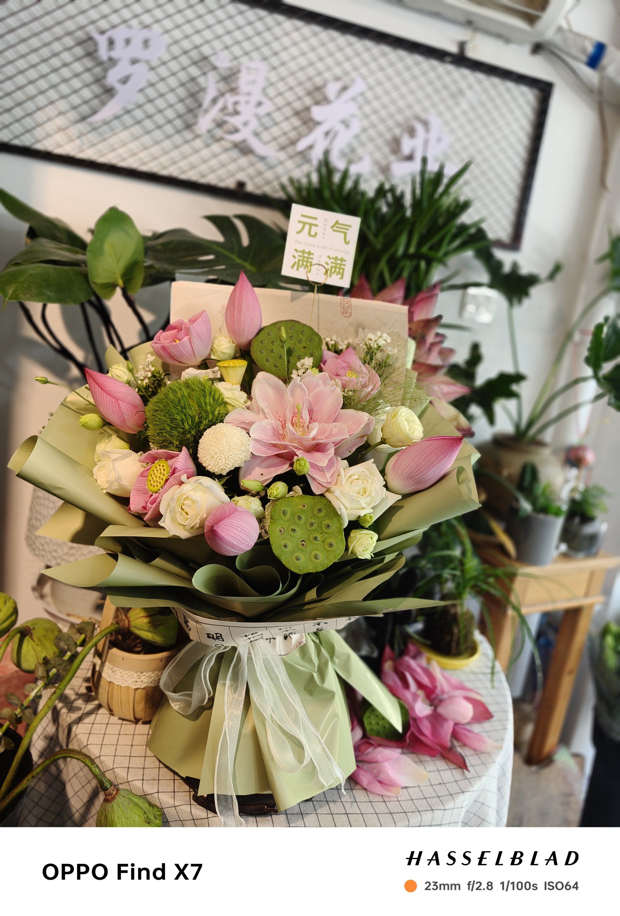 荷你有约荷花花束