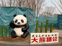-秦皇岛野生动物园