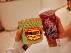 野葡萄四季春-茶力的小怪兽(梅林卓悦汇店)