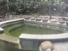 -花水湾第一村温泉大酒店