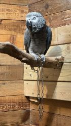 -Zoolung Zoolung动物主题公园(海信广场店)