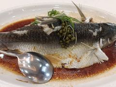鲜花椒蒸生坑鲩-丰尔粥食·顺德鱼生·干蒸排骨顺德菜(大良分店)