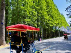 -巧克力渔家.小船海鲜家常菜(万平口店)