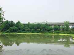 -桤木河湿地公园