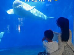 -泉城欧乐堡海洋极地世界