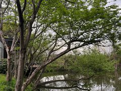 -木守西溪溪隐餐厅