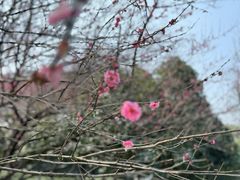 -杭州城北体育公园