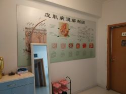 -宜肤清颜专业祛痘问题肌修护