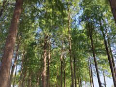 -太湖湖滨国家湿地公园-停车场