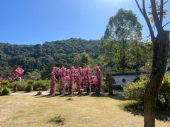 -东莞观音山旅游风景区