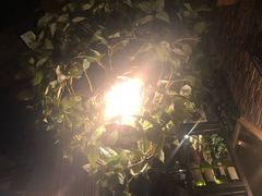 -胡桃里音乐酒馆(环亚凯瑟琳广场店)