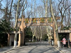 -灵谷景区