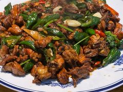 -食鸡公社辣子鸡·潍坊菜·烧烤