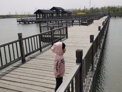 -天津东丽湖风景区