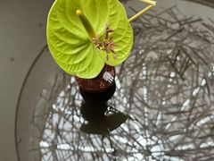 -天津海河悦榕庄·Lobby Lounge大堂吧