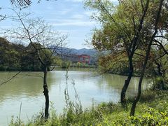 -西溪国家湿地公园