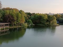-尚贤河湿地