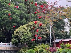 -荔湾湖公园