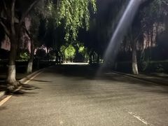 -丁香湖公园