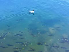 -青海湖二郎剑景区