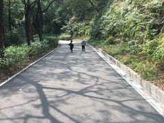 -三水森林公园