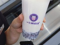 -一只酸奶牛(曲江龙湖星悦荟店)