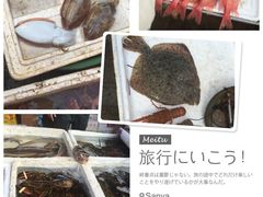 iphone_upload_pic-鸿港海鲜批发市场