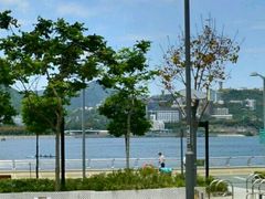 -宝安西湾红树林湿地公园