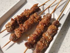 -九府羊·鲜羊火锅·烤串(新华路店)