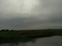 -大港湿地公园