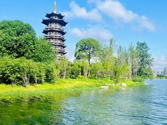 -洋湖国家湿地公园