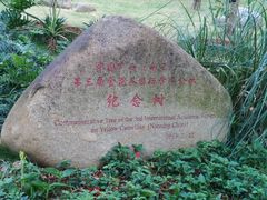 -金花茶公园