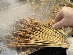 -十里铺铁板鱿鱼